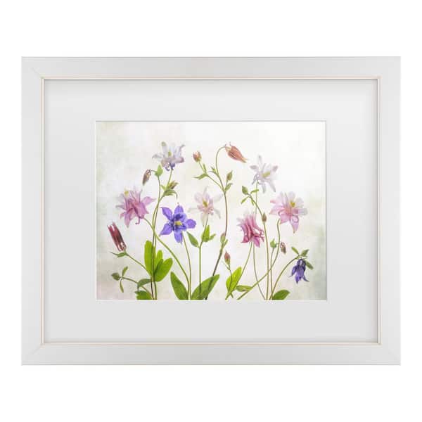 Trademark Fine Art Mandy Disher Columbine Matted Framed Photography Wall Art 13 in. x 16 in.