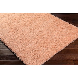 Marne Peach 5 ft. x 7 ft. Indoor Area Rug