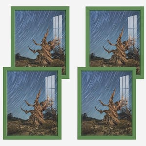 Modern 11 in. x 14 in. Green Picture Frame (Set of 4)