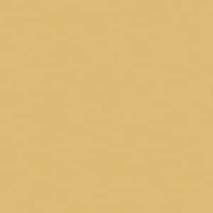 8 in. x 10 in. Laminate Sheet Sample in Pale Brass with Standard Matte Finish