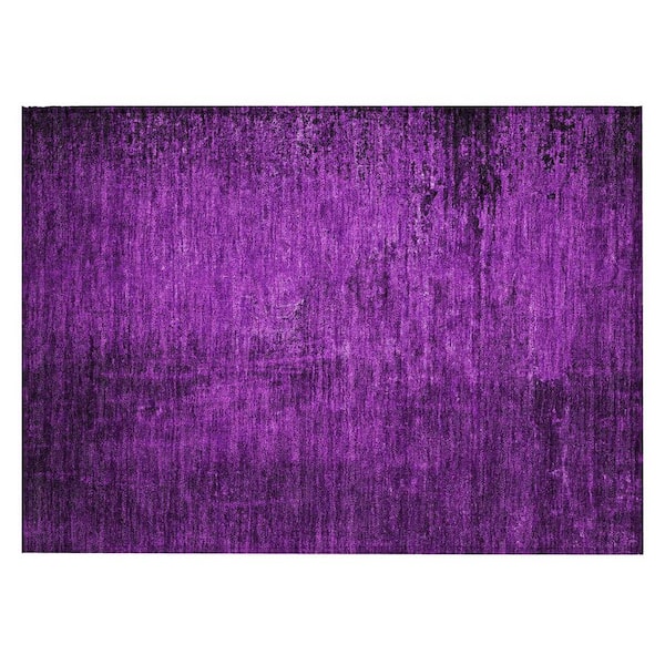 Purple 2 ft. x 3 ft. Woven Abstract Rectangle Indoor/Outdoor Area Rug