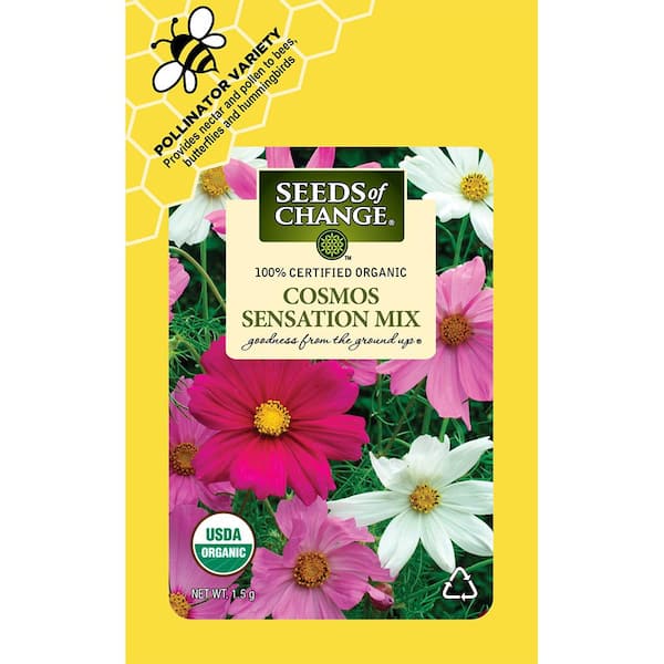Organic Cosmos Sensation Mix Flower Seeds