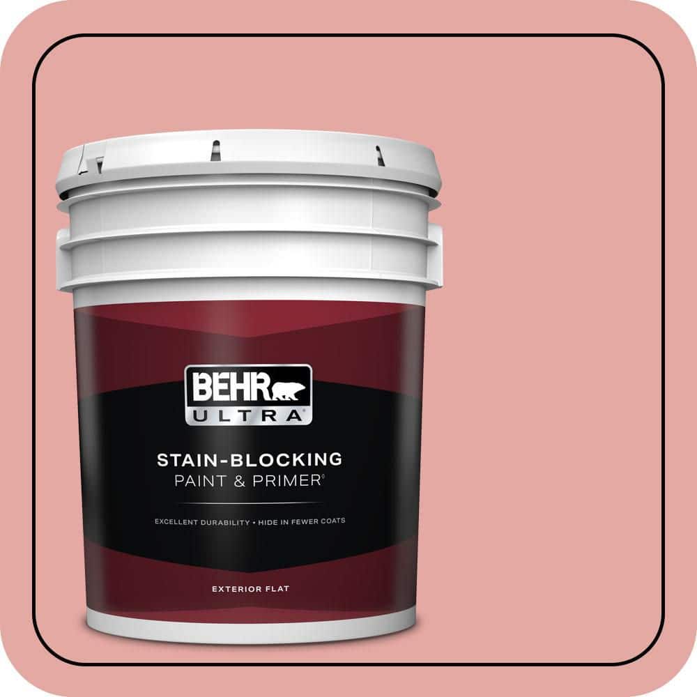 5 gal. #MQ4-03 Coral Fountain Flat Exterior Paint & Primer product image for price tracking