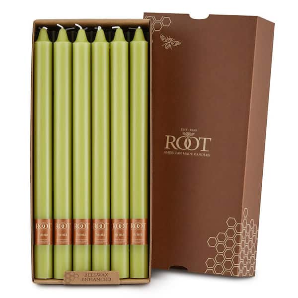 ROOT CANDLES Smooth Arista 12 in. Willow Green Unscented Taper Candle (Set of 12)