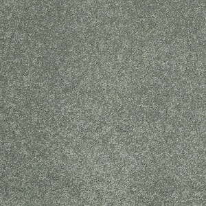 Coral Reef I - Breezy Sage - Green 65.5 oz. Nylon Texture Installed Carpet