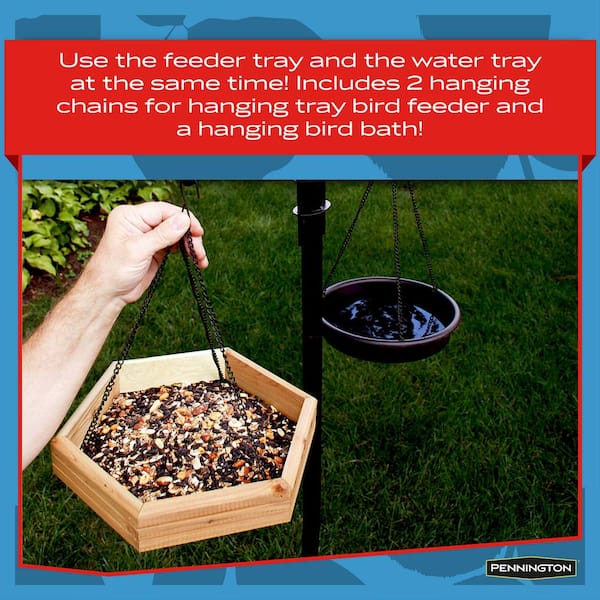 Pennington Cedar 2 in 1 Wild Bird Bath and Wild Bird Feeder, 4 lb. Capacity