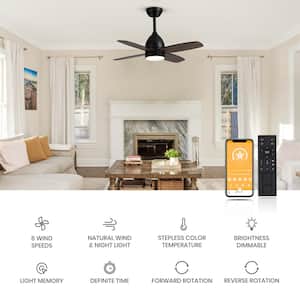36 in. Dimmable LED Indoor Black Ceiling Fan with Remote Farmhouse Small Bedroom Fan Light with Walnut Color Blades