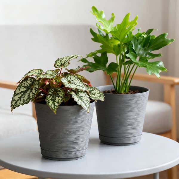 Lark & Vine Cabala Charcoal Resin Planter Set with Knock-Out Drainage Holes (8.03 in. L x 8.03 in. W x 7.43 in. H) (2-Pack)