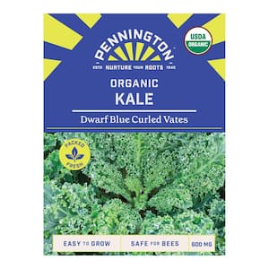Organic Kale Dwarf Blue Curled Vegetable Seed