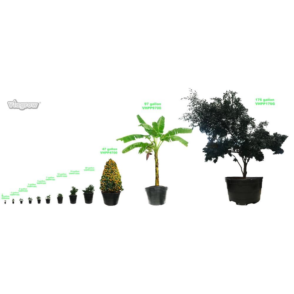 Black 1-Gallon Plastic Nursery Pots with Drainage Holes, Set of 10