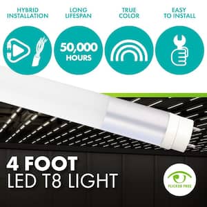 14-Watt/32-Watt Equivalent 4 ft. Linear T8 Hybrid Type A/B LED Tube Light Bulb, Cool White Light 4000K, 10-pack