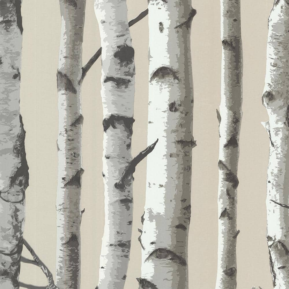 paper birch tree