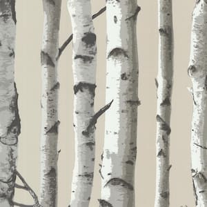 Irvin Grey Birch Tree Grey Wallpaper Sample
