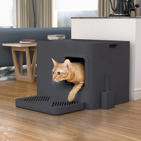 Meowy Studio 20 3 In W X 15 4 H Loo Plastic Cat Litter Box With Scoop Carbon Grey Ms Xl Gy