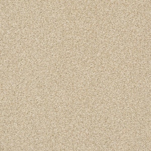Karma I - Honey Glaze - Beige 41.2 oz. Nylon Texture Installed Carpet