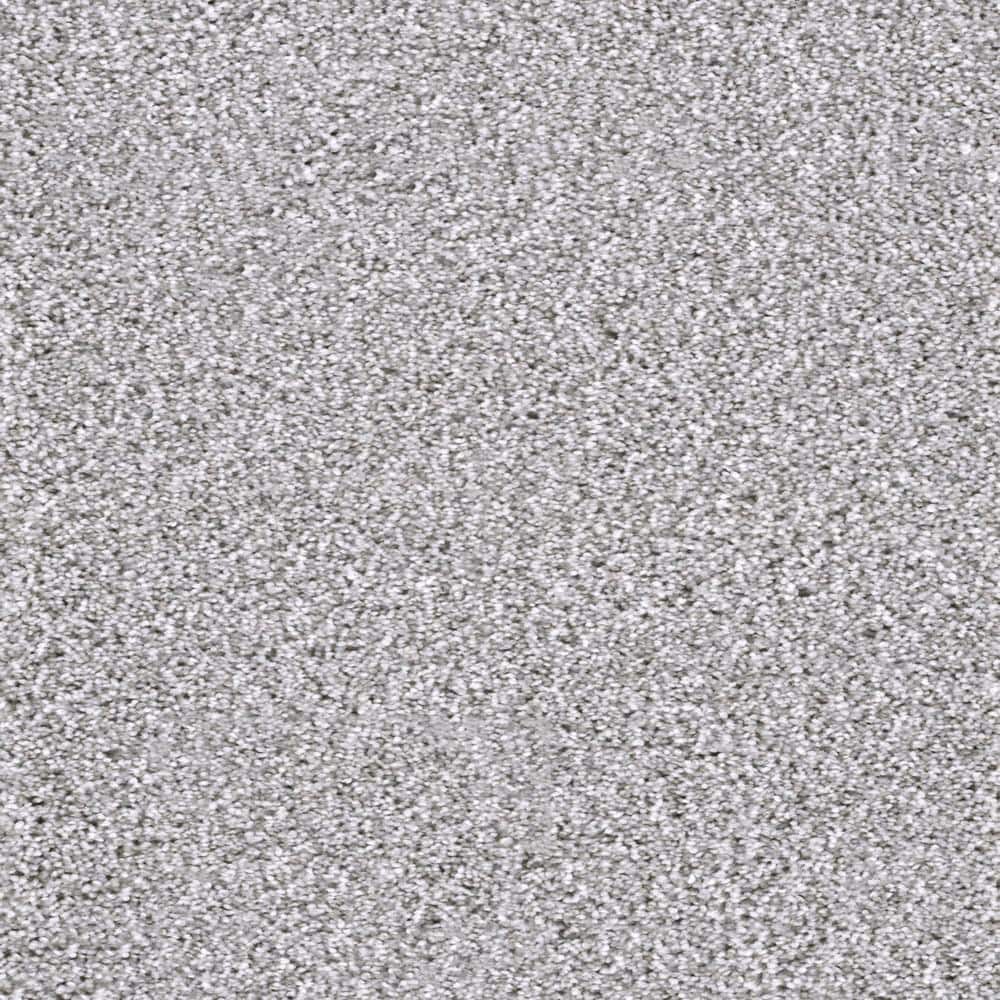 8 in. x  8 in. Texture Carpet Sample - Affectionate I -Color Welcoming price history on PriceWatchPro