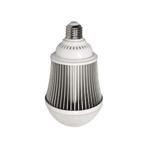 250-Watt Equivalent A-Line E26 5000 Lumens LED Light Bulb 5000K in Bright White (4-Pack)