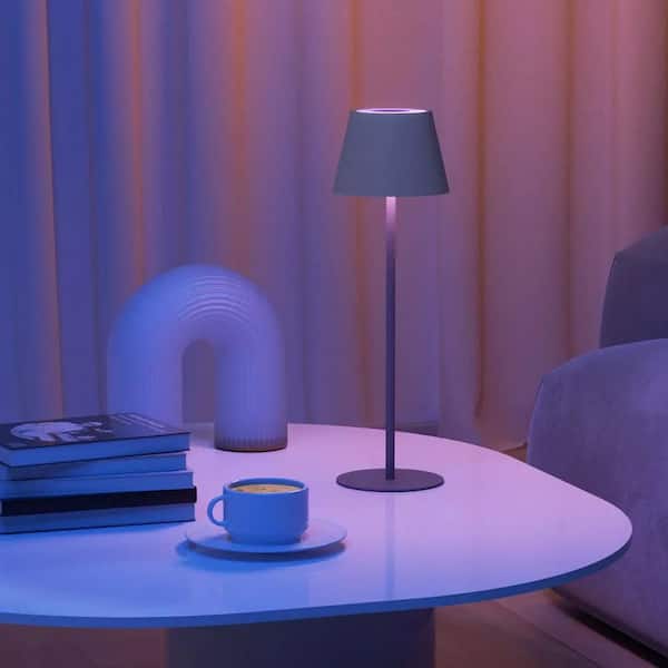 Onewish 2-Pack 4.6 in. Black Portable LED Lamp RGB Color Changing