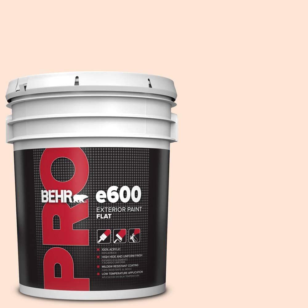 5 gal. #230C-1 Winthrop Peach Flat Exterior Paint price history on PriceWatchPro