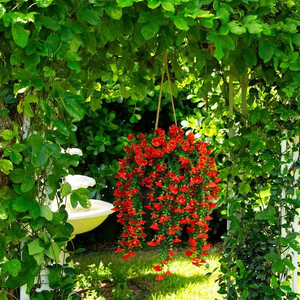 Nearly Natural 30 in. UV Resistant Artificial Morning Glory Hanging Plant  (Indoor/Outdoor) - (Set of 6)) P2275-S6-OG