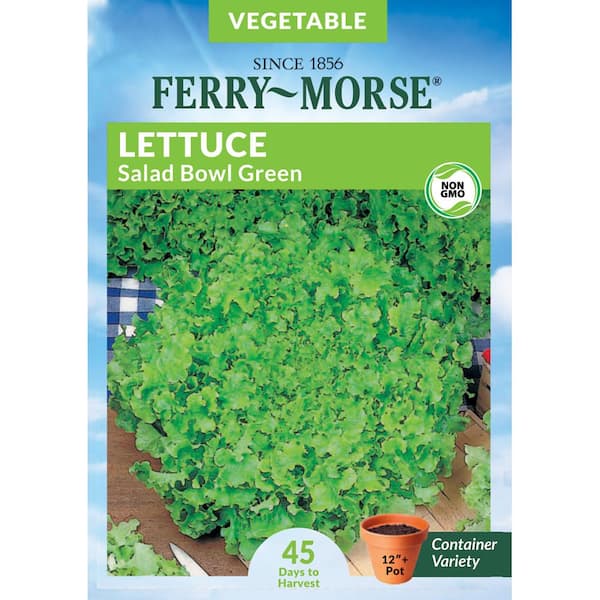 Ferry-Morse Lettuce Salad Bowl Vegetable Seed