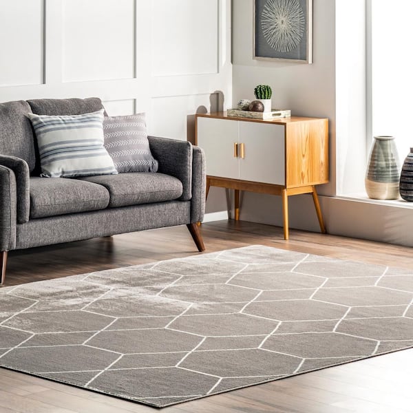 Veronica Grey 4 ft. x 6 ft. Geometric Honeycomb Indoor Area Rug