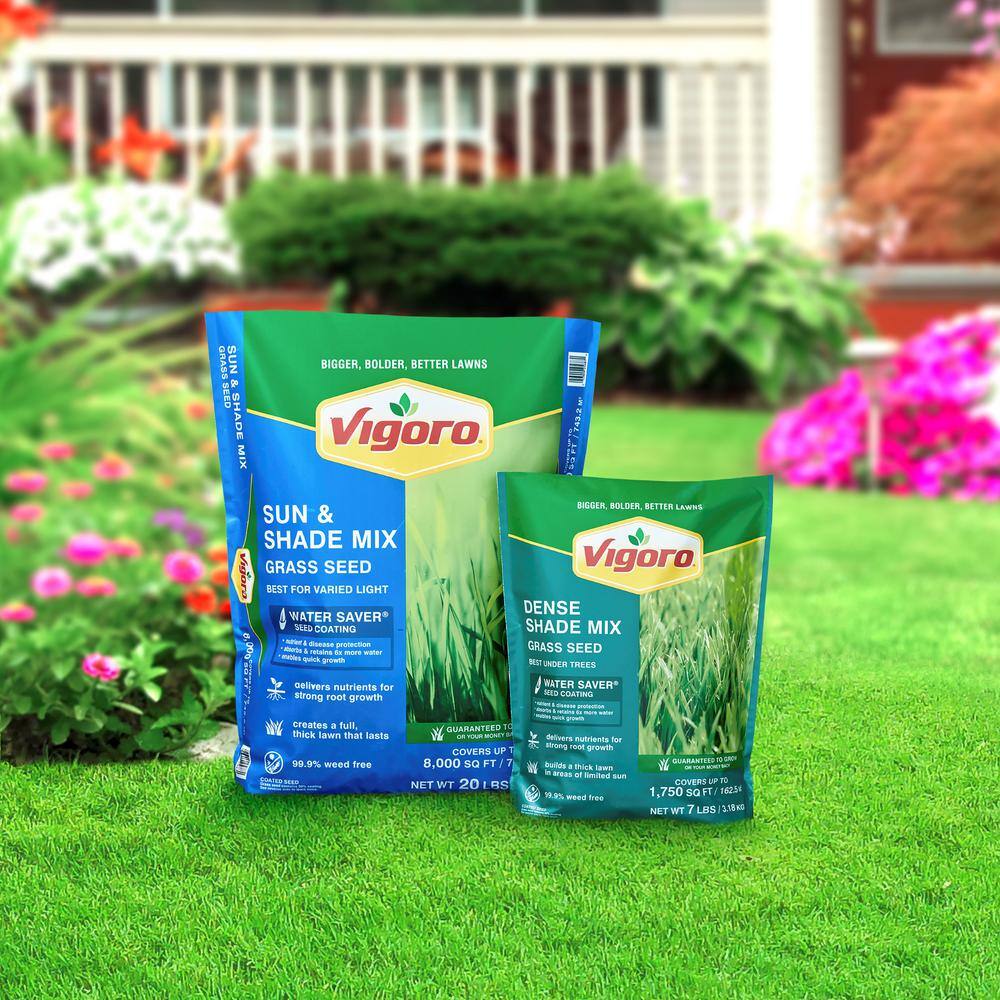 Buy 20 lbs. Sun and Shade Grass Seed Mix with Water Saver Seed Coating