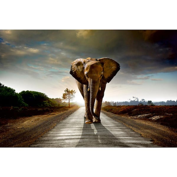 Dimex Whimsical Walking Elephant Abstract Wall Mural