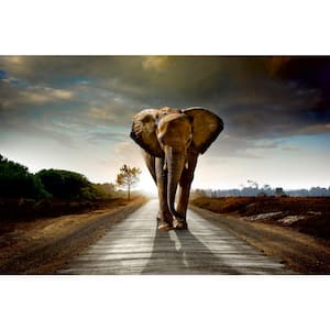 Whimsical Walking Elephant Abstract Wall Mural