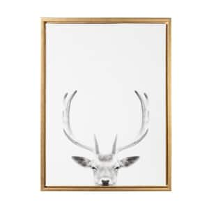 24 in. x 18 in. "Female Deer" by Tai Prints Framed Canvas Wall Art