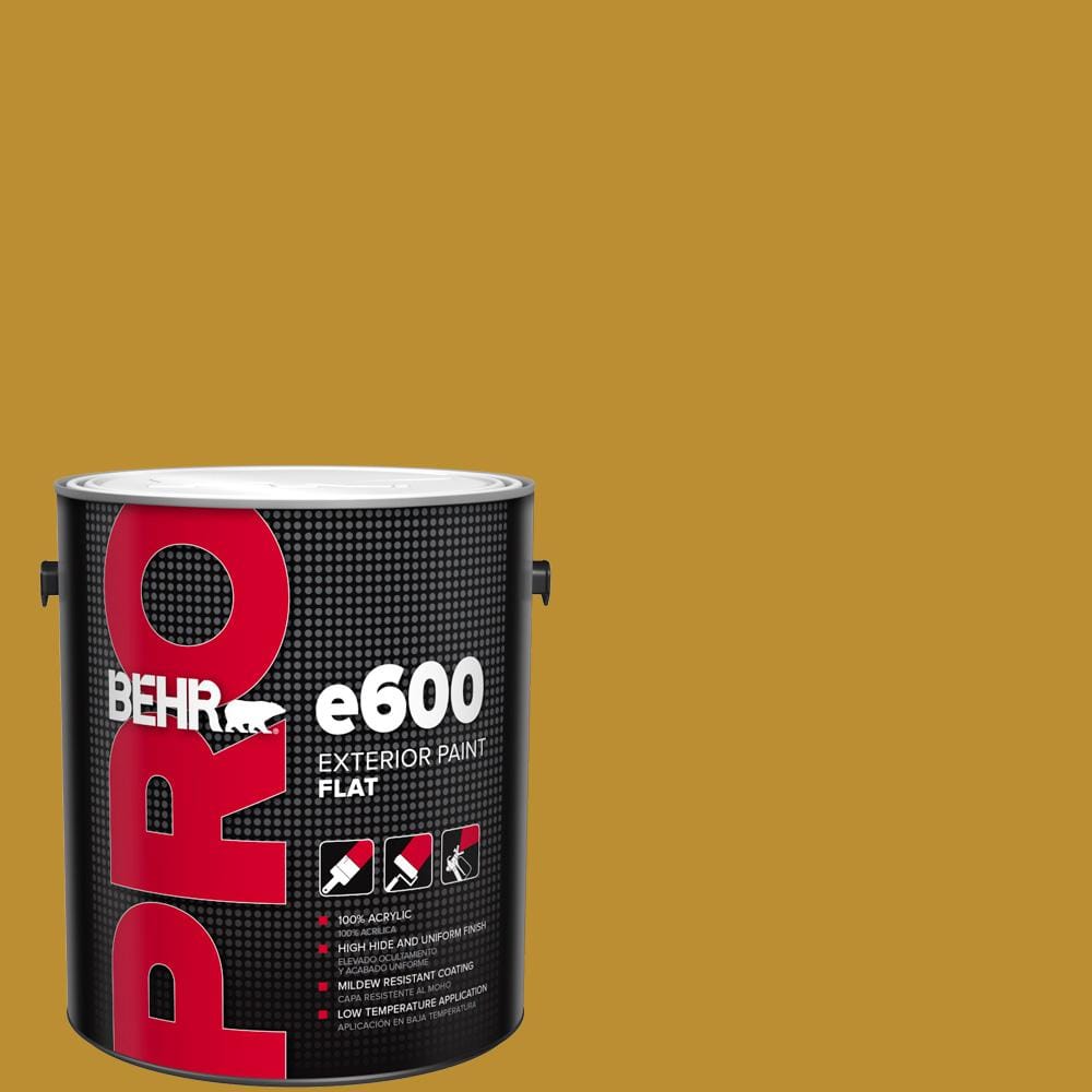 1 gal. #360D-7 Brown Mustard Flat Exterior Paint price history on PriceWatchPro