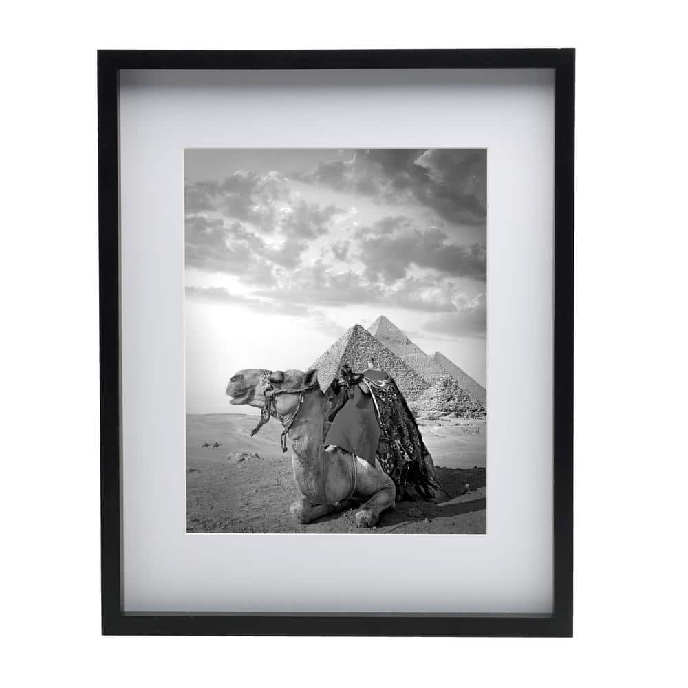 Mikasa Black Gallery Picture Frame -16 x 20 Matted to 11 x 14 5188627 ...