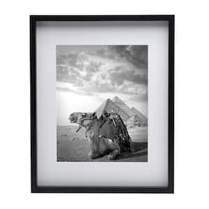 Black Gallery Picture Frame -16 x 20 Matted to 11 x 14