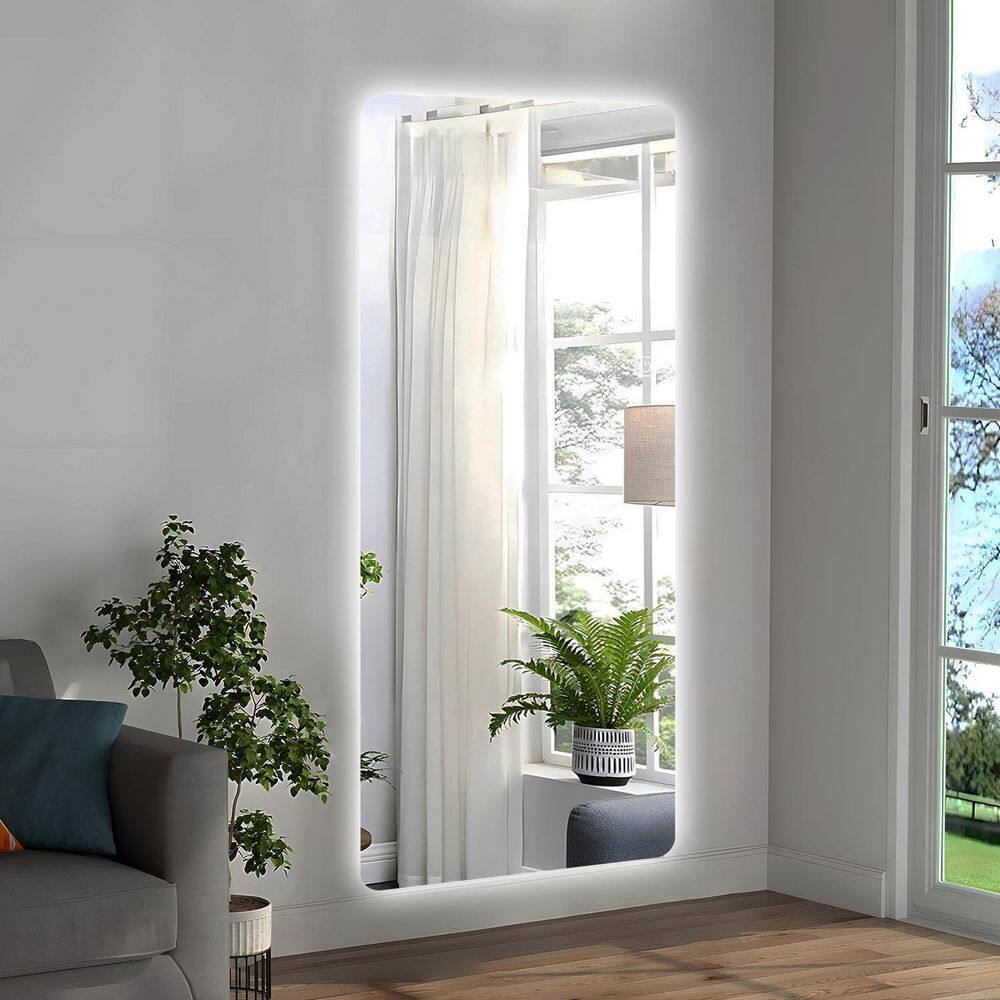 Silver 21 in. W x 65 in. H Rectangle Rimless Full Length Mirror