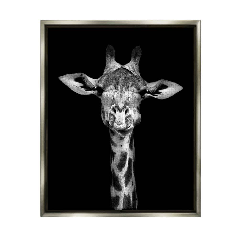 Greyscale Zebra Stripes Detailed Photography Portrait by Incado Floater Frame Animal Wall Art Print 31 in. x 25 in. price history on PriceWatchPro