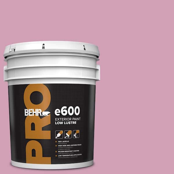 BEHR PRO 5 gal. #M130-4 Raspberry Smoothie Low Luster Exterior Paint ...