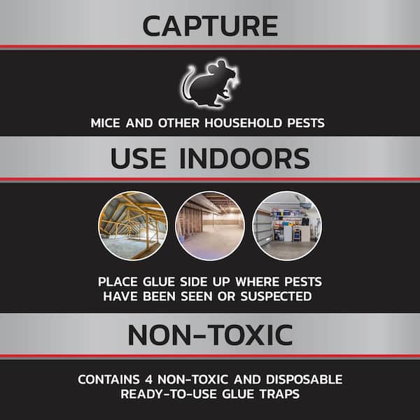 Mouse Glue Traps Non-Toxic (4-Count) (4-Pack)