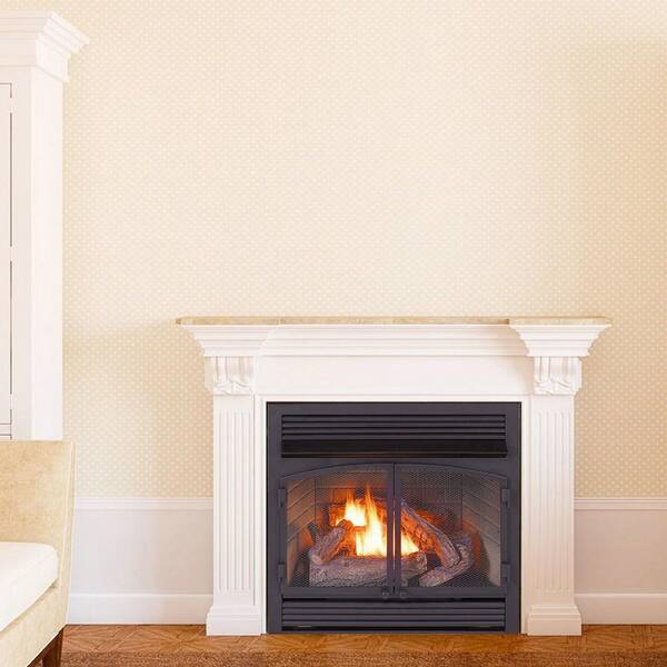 ProCom Heating Dual Fuel Fireplace Insert Zero Clearance - 32,000 BTU  170115 - The Home Depot