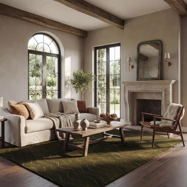 Gailia Solid Wool Cozy Area Green 6 ft. x 9 ft. Indoor Area Rug