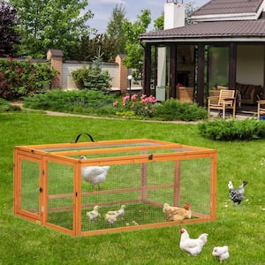 Folding Chicken Coop with Roosting Bar