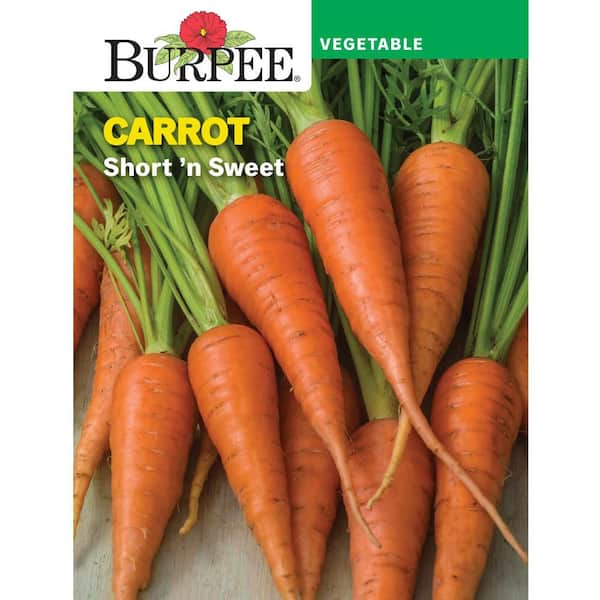 Carrot Short n Sweet Vegetable Seed