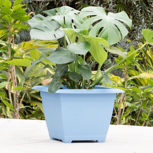 Dayton 15 in. Plastic Square Deck Box Planter, Blue