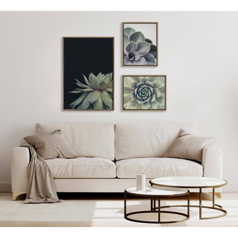 Set of 3 Gold Framed Succulent Canvas Prints