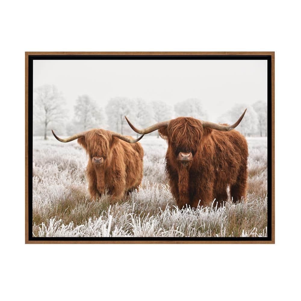 Stratton Home Decor Highland Cattle Framed Canvas Wall Art - 24 in. x ...