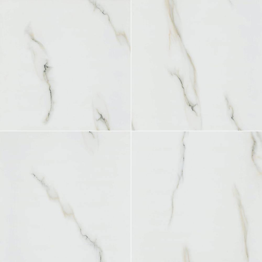 Aria Bianco 24 in. x 24 in. Polished Porcelain Floor and Wall Tile (16 sq. ft. / Case) price history on PriceWatchPro