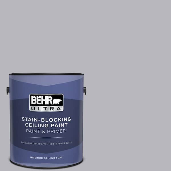 1 gal. #N550-3 Best in Show Ceiling Flat Interior Paint and Primer