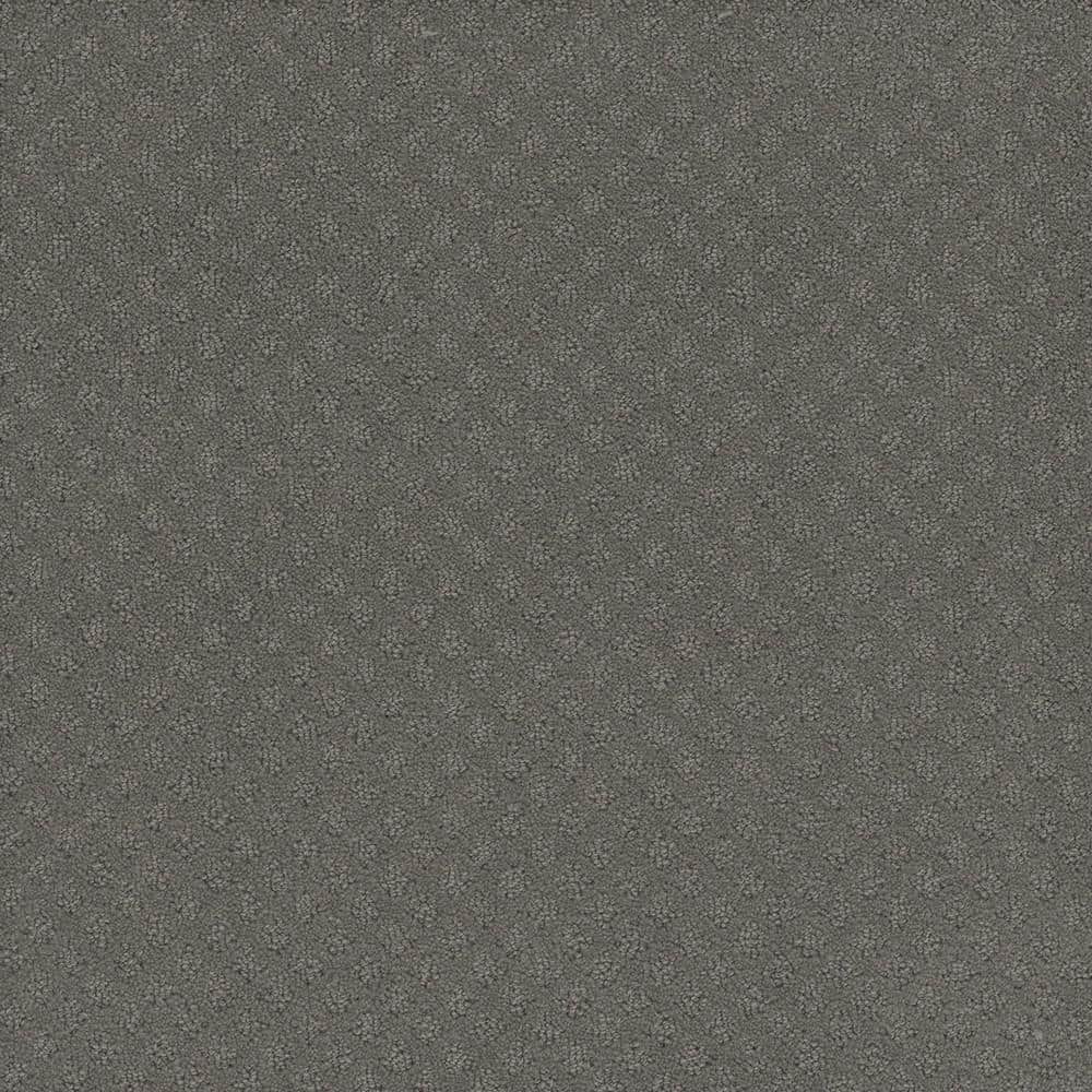 8 in. x  8 in. Loop Carpet Sample - Camelia Lane -Color Grace price history on PriceWatchPro