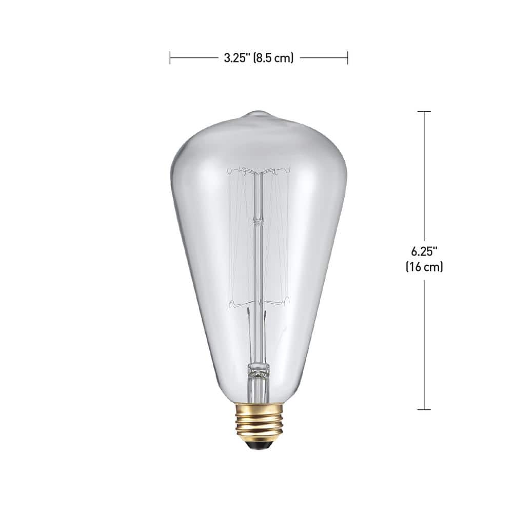 60 Watt S-Shape Dimmable Cage Filament Vintage Edison Incandescent Light Bulb, Warm Candle Light