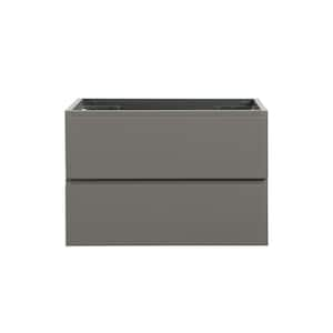 29.6 in. W x 17.9 in. D x 20.5 in. H Bath Vanity Cabinet without Top in Gray Finish Assembled Wall Mount w/2-Drawers