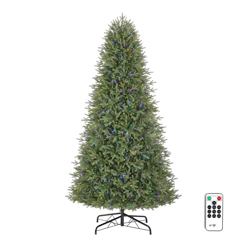 Home Decorators Collection 9 ft Elegant Grand Fir LED Pre-Lit Artificial Christmas  Tree with Timer with 3000 Warm White Lights W14N0139 - The Home Depot